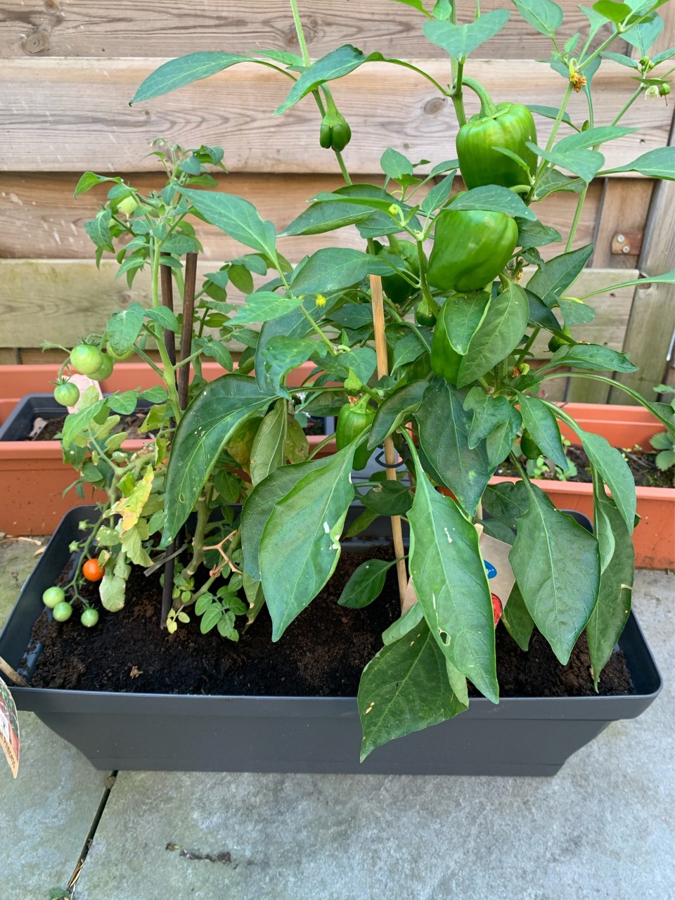 73173AB6-9FD4-43C5-9ACE-CCF19C6761DC